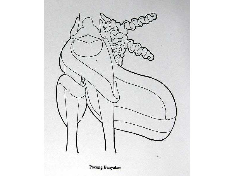 wrap around-pocong banyakan-sunarto-124